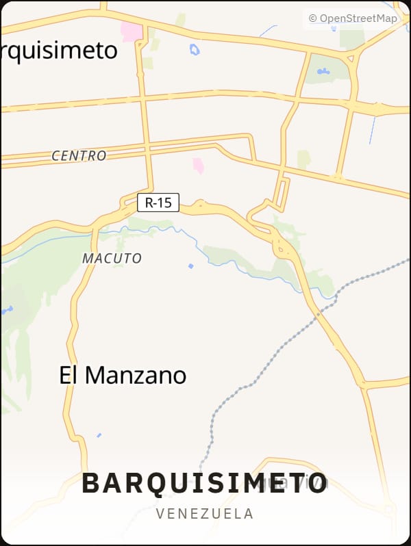 Barquisimeto, Venezuela street map poster