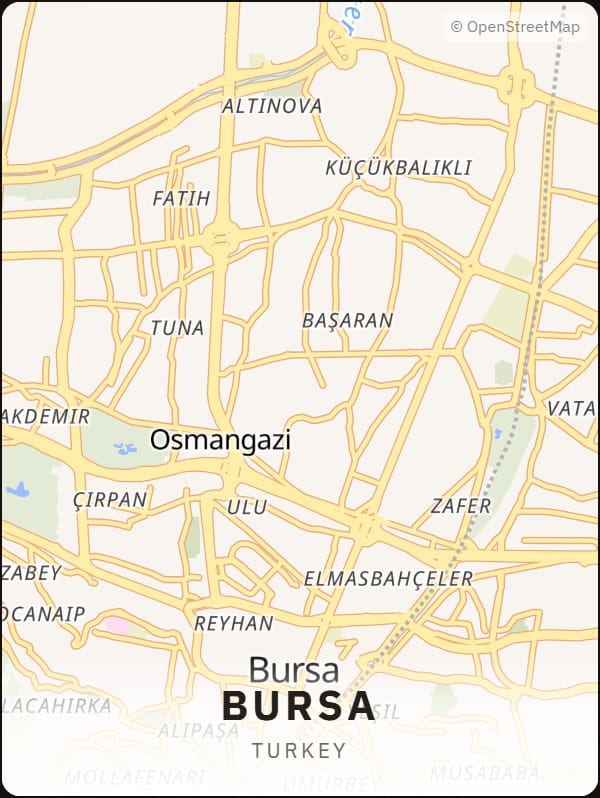 Bursa, Turkey street map poster