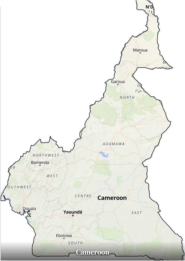 Cameroon map poster — the country's outline filled with a real map