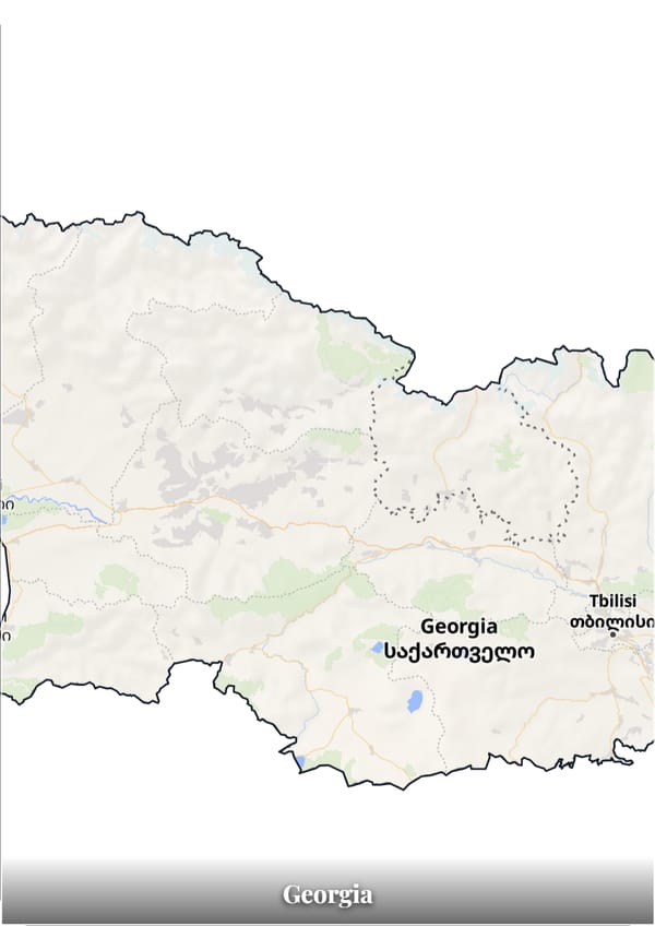 Georgia map poster — the country's outline filled with a real map