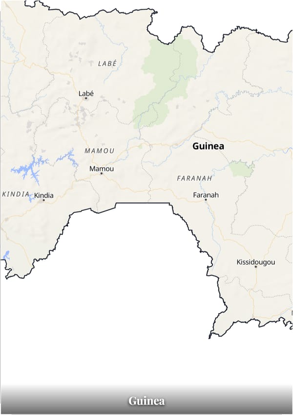 Guinea map poster — the country's outline filled with a real map