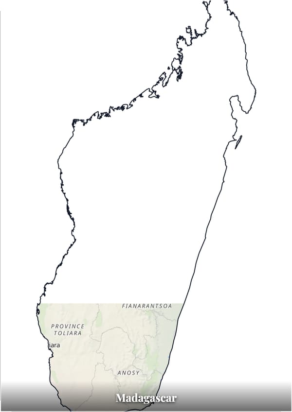 Madagascar map poster — the country's outline filled with a real map