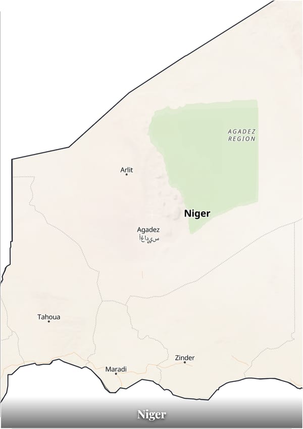 Niger map poster — the country's outline filled with a real map