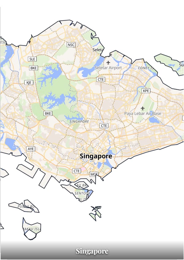 Singapore map poster — the country's outline filled with a real map
