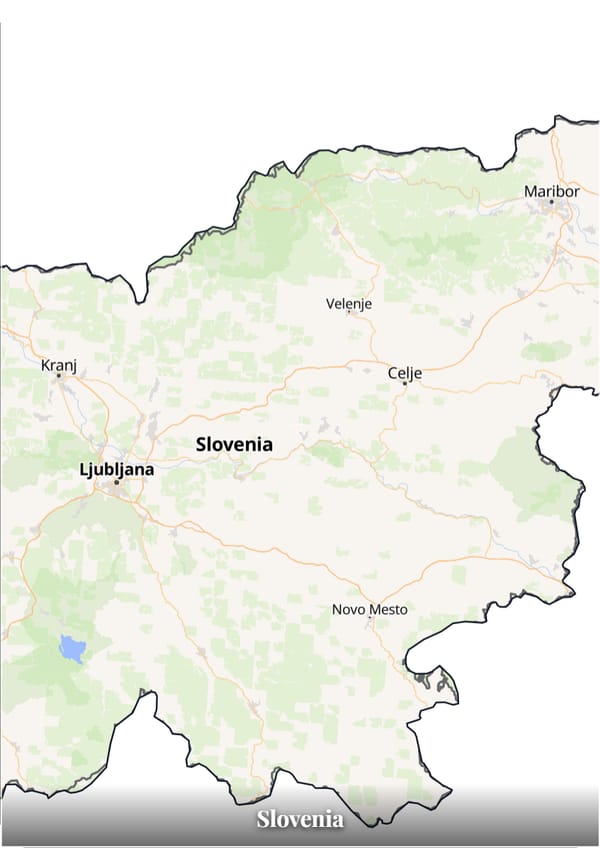 Slovenia map poster — the country's outline filled with a real map