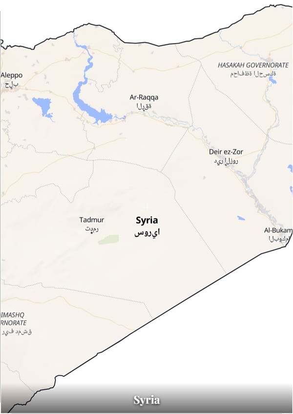 Syria map poster — the country's outline filled with a real map