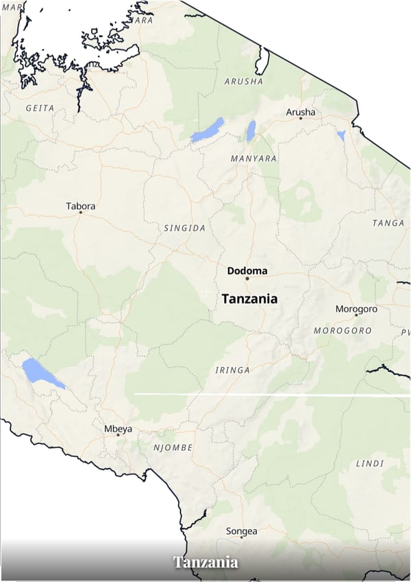 Tanzania map poster — the country's outline filled with a real map
