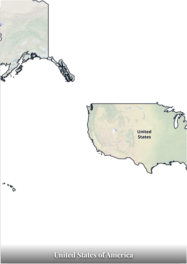 United States of America map poster — the country's outline filled with a real map