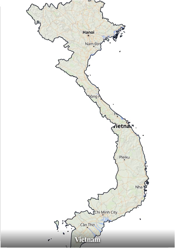 Vietnam map poster — the country's outline filled with a real map