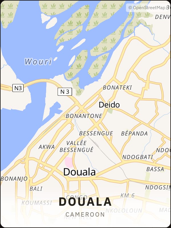 Douala, Cameroon street map poster