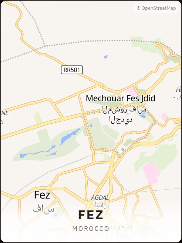 Fez, Morocco street map poster