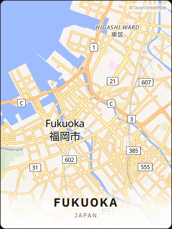 Fukuoka, Japan street map poster