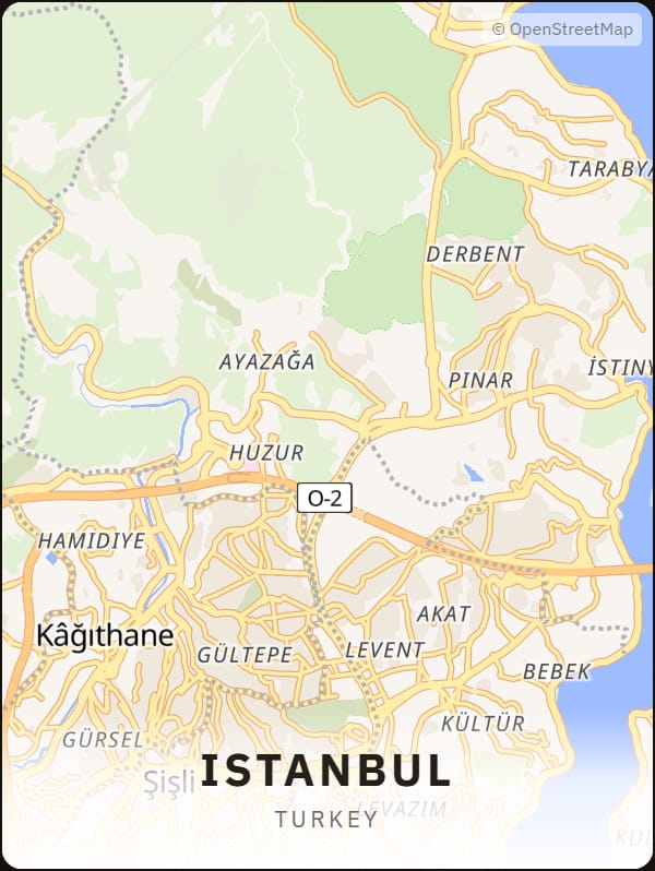 Istanbul, Turkey street map poster