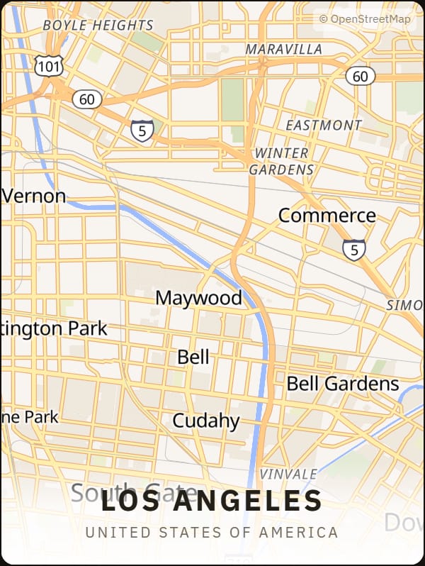 Los Angeles, United States of America street map poster