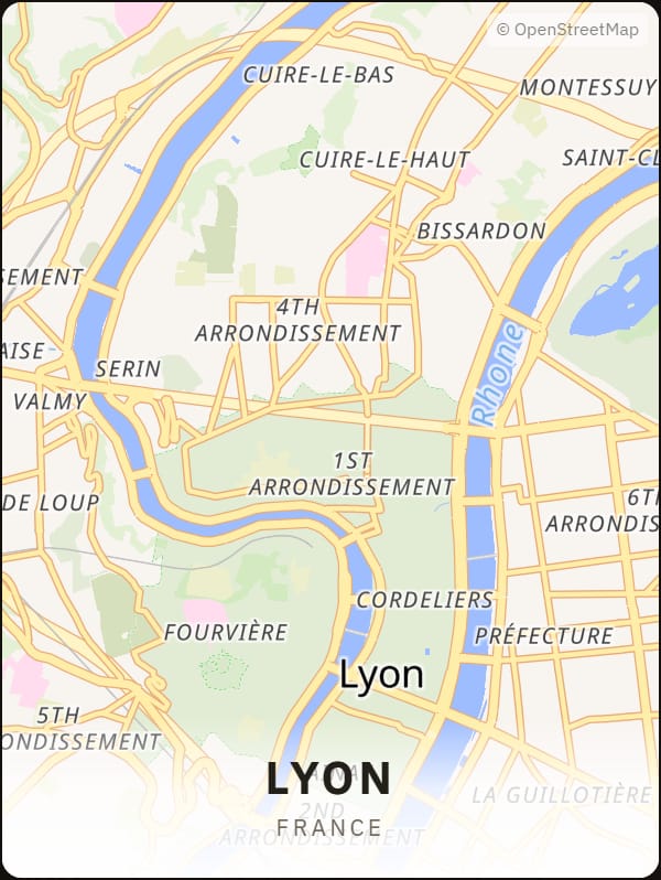 Lyon, France street map poster