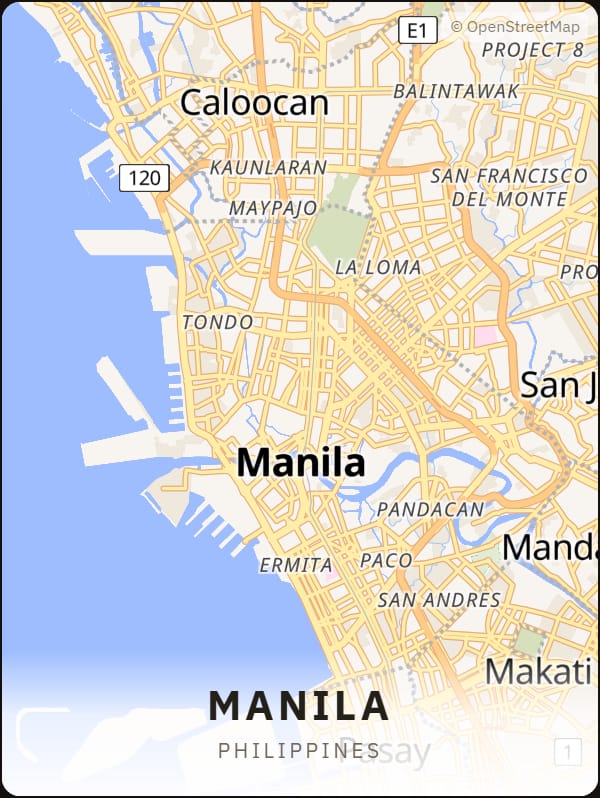 Manila, Philippines street map poster