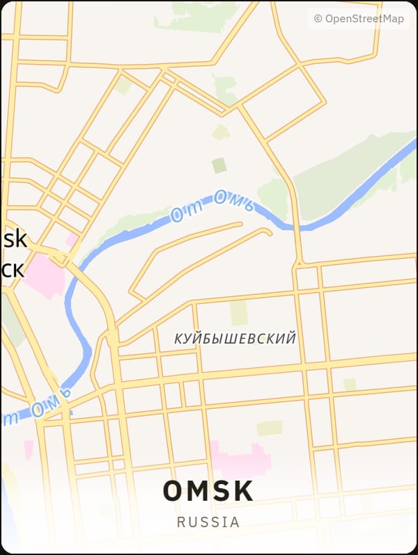 Omsk, Russia street map poster