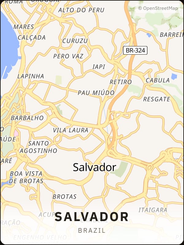 Salvador, Brazil street map poster
