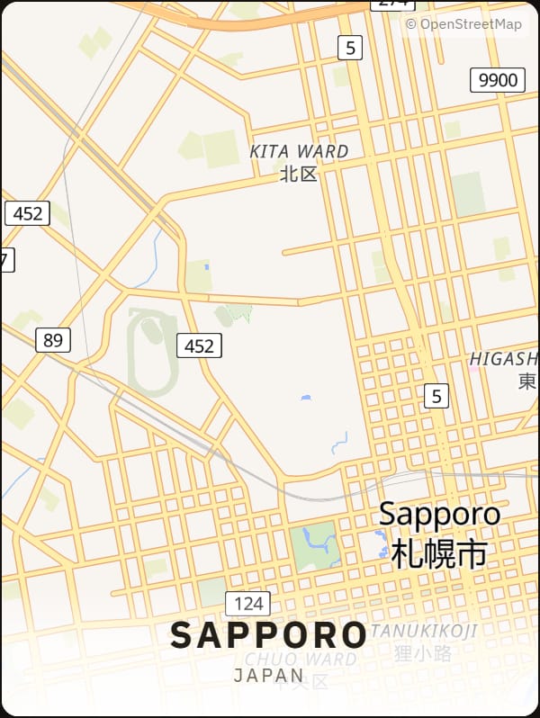 Sapporo, Japan street map poster