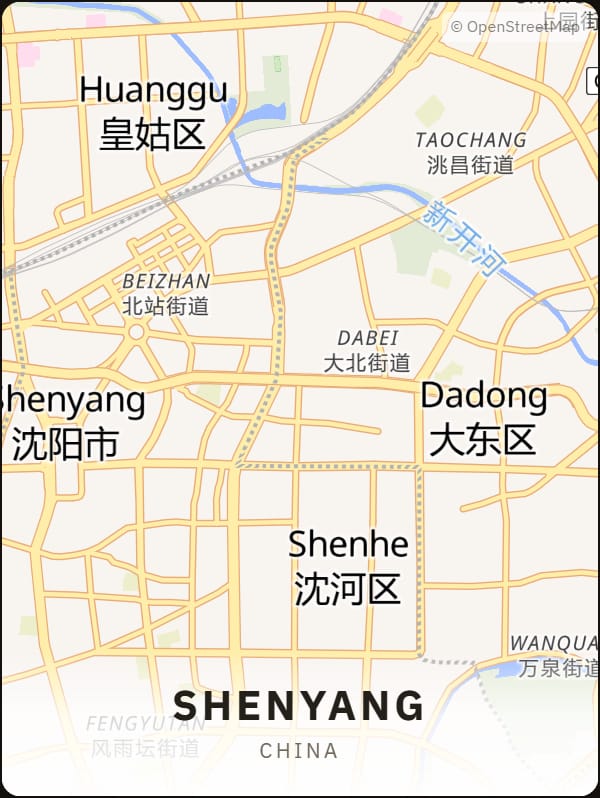 Shenyang, China street map poster
