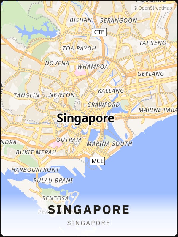 Singapore, Singapore street map poster