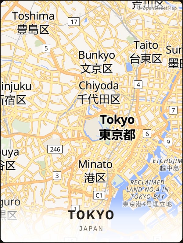 Tokyo, Japan street map poster
