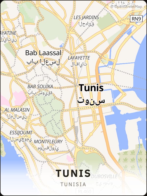 Tunis, Tunisia street map poster