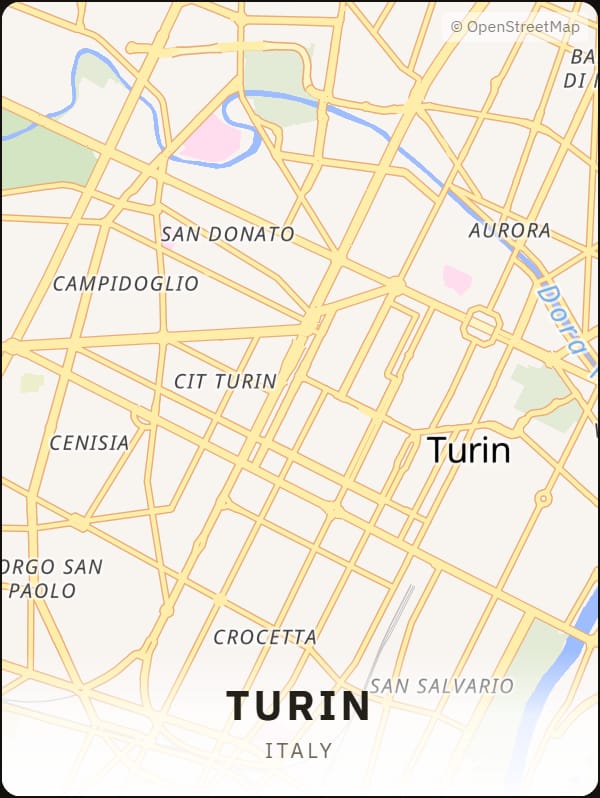 Turin, Italy street map poster