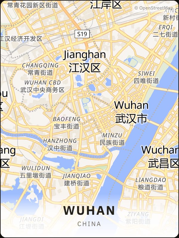 Wuhan, China street map poster